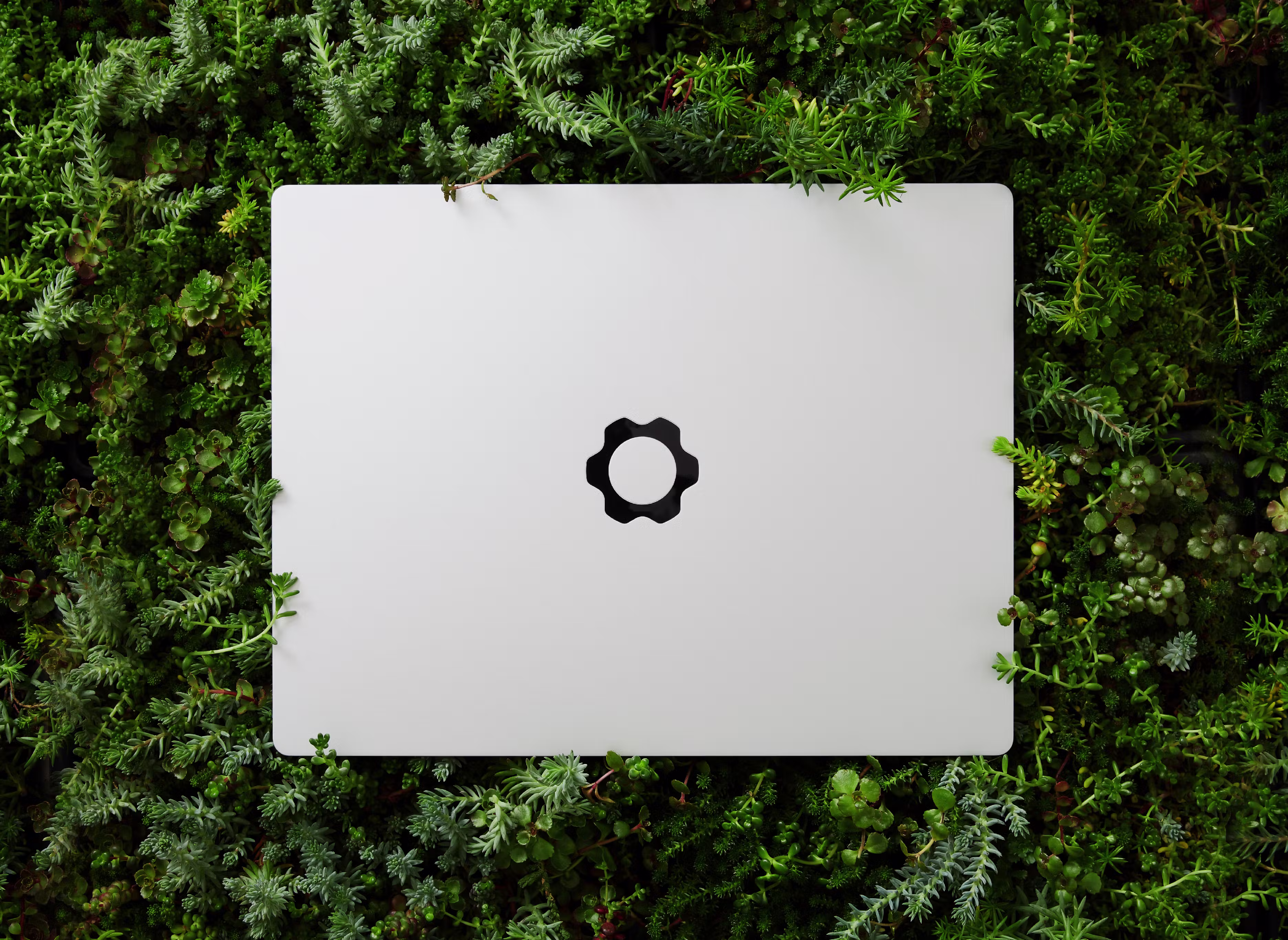Framework Laptop