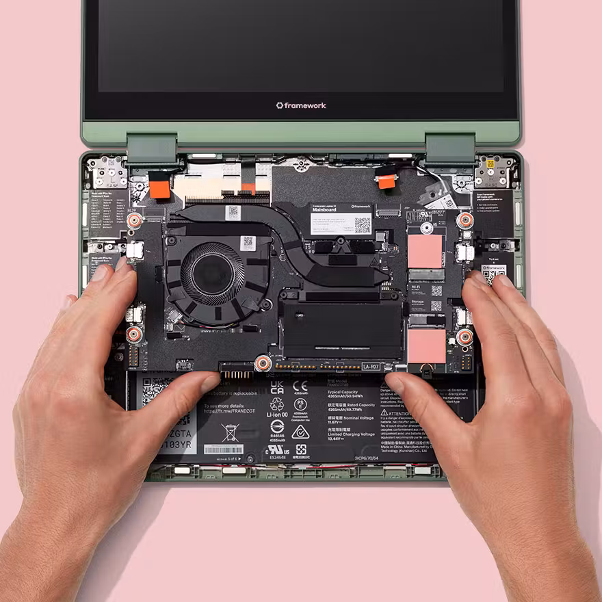 Interior view of a Sage colorway Framework Laptop 12 with the input cover removed, showing a hand installing a mainboard.